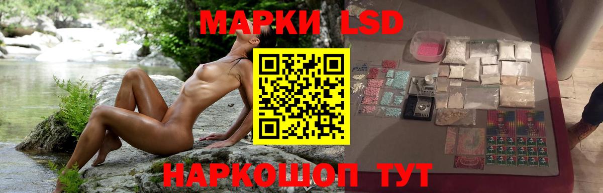   как зайти  ЛСД экстази ecstasy  Вход с VPN  Новокуйбышевск  LSD-25 экстази ecstasy 