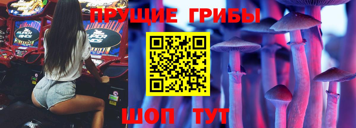 Псилоцибиновые грибы Magic Shrooms  Вход с VPN  закладка  Новокуйбышевск 